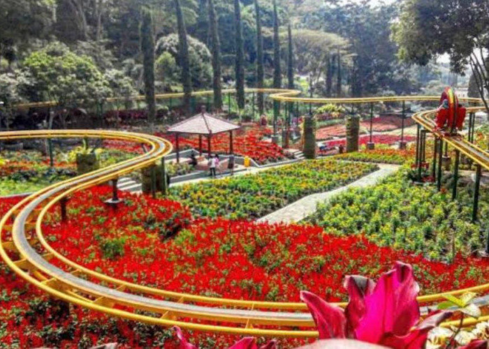 Yuk! Jelajahi 5 Taman Bunga Terindah di Bengkulu Ini, Lokasinya Sangat Instagramable