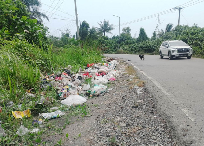 Sampah Menumpuk di Jalur Operasioanal Pelabuhan, Pelindo Ajak Warga Jaga Kebersihan