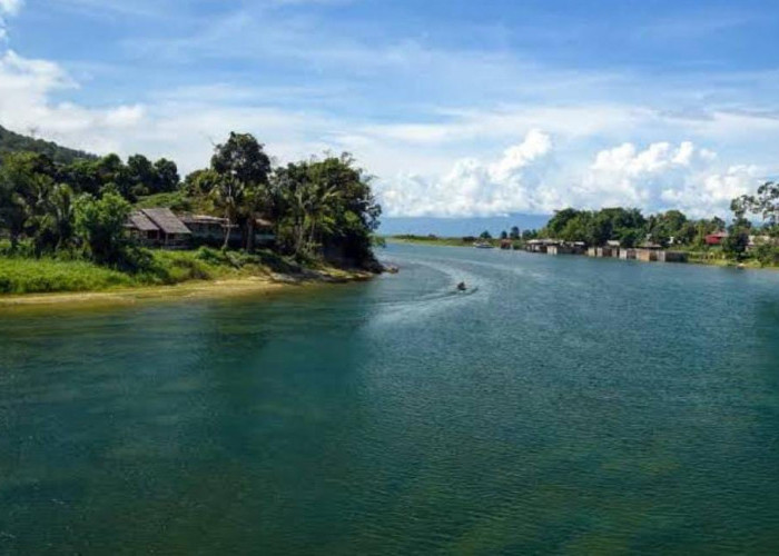 Dilanda Kemarau Danau Poso Alami Kekeringan, Surut Hingga 1 KM 