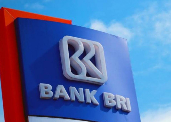 Bank BRI Bocorkan Cara Pengajuan Pinjaman Online KUR BRI 2023, Cukup Pakai Handphone