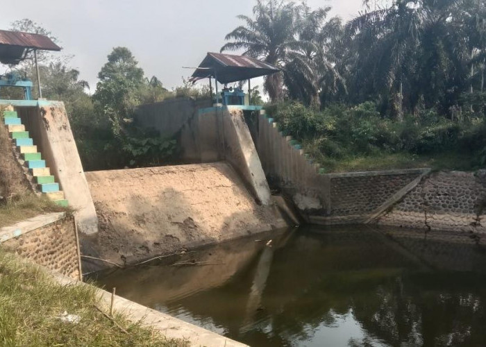 Pintu Air Rusak dan Sedimentasi Terlalu Tinggi, Pemerintah Diminta Perbaiki Bendungan Air Mumbang Karya Jaya