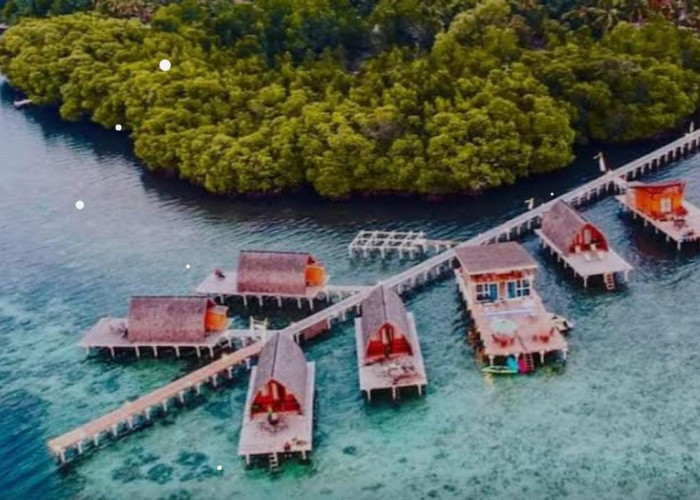 Masalah Kreditur Menjadi Alasan Pelelangan Pulau Pahawang yang Diperkirakan Mencapai Angka Rp16 M