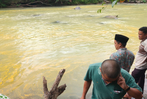 Sungai Lubuk Banyau Tercemar, Perusahaan Diminta Bertindak