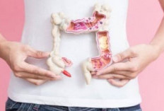 Mudah dan Gampang, 4 Bahan Alami Ini Bisa Membersihkan Usus Kotor dengan Efektif
