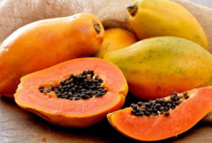 Ini Manfaat Buah Pepaya untuk Kesehatan Kulit, Bisa Buat Kulit Semakin Bercahaya 