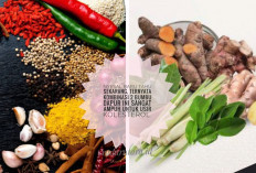 Nyesal Baru Tahu Sekarang, Ternyata Kombinasi 2 Bumbu Dapur Ini Sangat Ampuh untuk Usir Kolesterol
