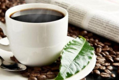 Buat yang Ingin Merasakan Sensasi Baru, Mungkin Bisa Minum Kopi Berdasarkan Zodiak