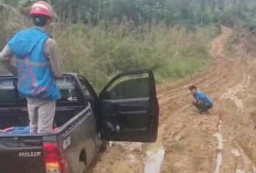 Sudah Bayar Denda P2TL, Warga Dusun III Tanjung Kemenyan Cemas Jaringan PLN Tersendat