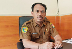 Proses Pemberhentian ASN Dipermudah, Sistem Online BKN Mulai Berlaku 1 Agustus