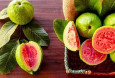 Jenis Makanan yang Bikin Anak Punya Karakter Baik dan Disertai Parenting yang Tepat