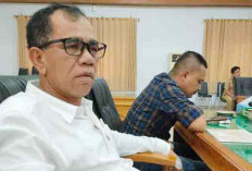 Lambatnya Serapan APBD Disorot, Rizal Sitorus: Jangan Sampai Jadi Catatan Pusat! 