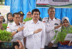 Perkuat Ekonomi & Ketahanan Pangan, Bupati Bagikan Bibit Sayuran Gratis, Berdayakan KWT