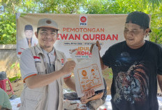 Berbagi untuk Umat, PKS Bengkulu Sembelih 30 Ekor Kurban
