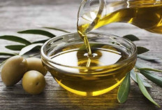 5 Bahan Alami untuk Menebalkan Rambut, Minyak Zaitun hingga Alpukat