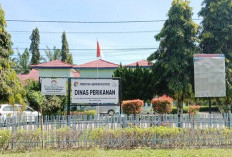 Digitalisasi BBM Nelayan, Mukomuko Wajibkan Rekomendasi Lewat Aplikasi X-Star