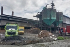 Dua Pabrik Sawit di Mukomuko Pasang Harga Pembelian TBS di Atas Rp3 Ribu
