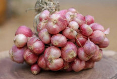 10 Tips Ampuh Cara Mengupas Bawang Tanpa Pake Drama Menangis