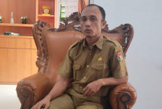 Dana Pangan Korban Bencana Kosong, Dinsos Mukomuko Ajukan Anggaran Baru
