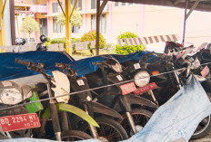Pemkab Mukomuko Bakal Lelang Besar-besaran Kendaraan Dinas