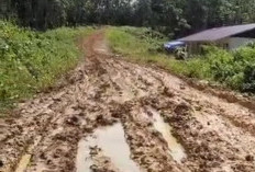Program Karya Bakti, TNI dan Pemda Benahi Jalan Permukiman KM 40 Desa Tanjung Kemenyan