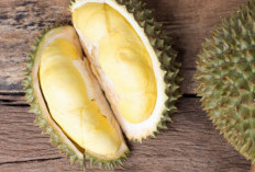 Dibalik Rasanya yang Lezat dan Legit, Kopi Durian Ternyata Menyebabkan Gangguan Kesehatan