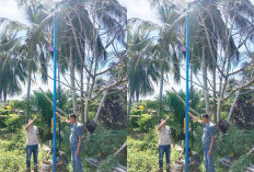 Pemdes Pasar Ketahun Nyalakan 13 Titik Lampu Jalan