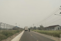 Mukomuko Diselimuti Kabut Asap, BPBD Telusuri Sumbernya