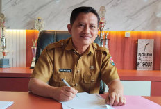 Hama Tikus Serang Awal Musim Tanam, Petani Tunggu Bantuan Obat