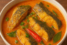 Kreasi Masakan Berbahan Dasar Ikan Gabus yang Wajib Dicoba