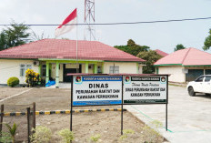 Dinas Perkim Kejar Tambahan 300 Unit Bedah Rumah, Target Tembus 500 Unit