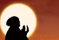 Apakah Boleh Membunuh Cicak? Ini Doa untuk Mengusirnya