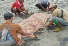 Geger! Mayat Pria Tanpa Baju Ditemukan di Pantai Rawa Bangun SP10