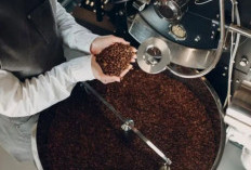 Butuh Tenaga Super Seharian, Sepertinya Kamu Harus Ganti Jenis Kopi yang Kamu Minum
