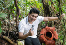Lestarikan Budaya & Bangkitkan Ekonomi, Bupati Siapkan Event Rafflesia Kemumu Festival