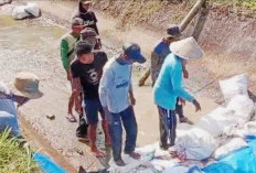 Saluran Irigasi Rusak, Mukomuko Kejar Bantuan Pusat