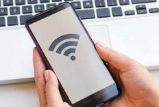 Jaringan Internet di Bengkulu Utara Hilang Timbul, Ternyata Ini Penyebabnya!