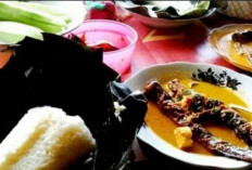 Catat! Ini Lokasi untuk Mencicipi Gulai Pelus, Menu Masakan Khas Bengkulu Selatan
