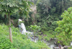 Healing Tipis-tipis ke Air terjun Tirta mandiri, Kalau ke Kepahiang Jangan Lupa Mampir