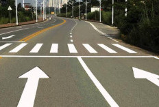 Bukan Supaya Terlihat Saat Malam Hari, tapi Ini Perbedaan Marka Jalan Warna Kuning dan Putih