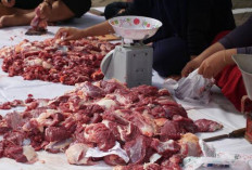 Lakukan Ini sebelum Dimasukkan Freezer, 5 Tips Menyimpan Daging Sapi agar Tahan Lama
