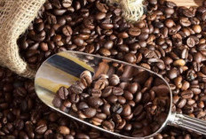 5 Kopi Terbaik di Indonesia, Kopi Favoritmu Termasuk?