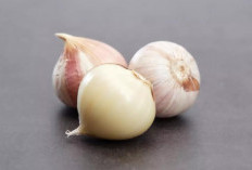 Manfaat Konsumsi Bawang Putih Tunggal untuk Kesehatan Tubuh, Obati Asma hingga Diabetes 