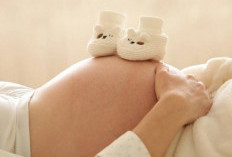 Ini Daftar Minuman yang Disukai Janin Dalam Kandungan Agar Tumbuh Sehat dan Bugar