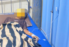 Bocah 9 Tahun di Lubuk Sanai III Positif DBD, Jalani Perawatan di RSUD