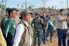 Menhut Raja Juli Dituding Belum Tunaikan Janji Pulihkan Kantong Gajah di Bengkulu