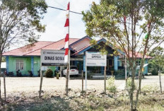 Terdata 350 Warga Mukomuko Alami Gangguan Jiwa