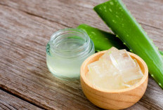 Ramuan Jadul yang Wajib Kamu Pakai Agar Alis Lebat bak Ulat Bulu