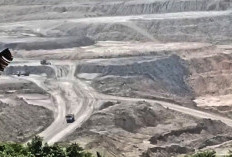 Kabarnya HGU Telah Berakhir, PT JP Diduga Alih Fungsi Dari Kebun Jadi Tambang BB