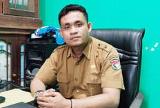 Stok Racun Tikus Habis, Dinas Pertanian Minta Bantuan Provinsi