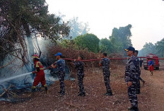 Kebakaran Lahan di Muara Dua, Lanal Bengkulu Berjibaku Padamkan Api